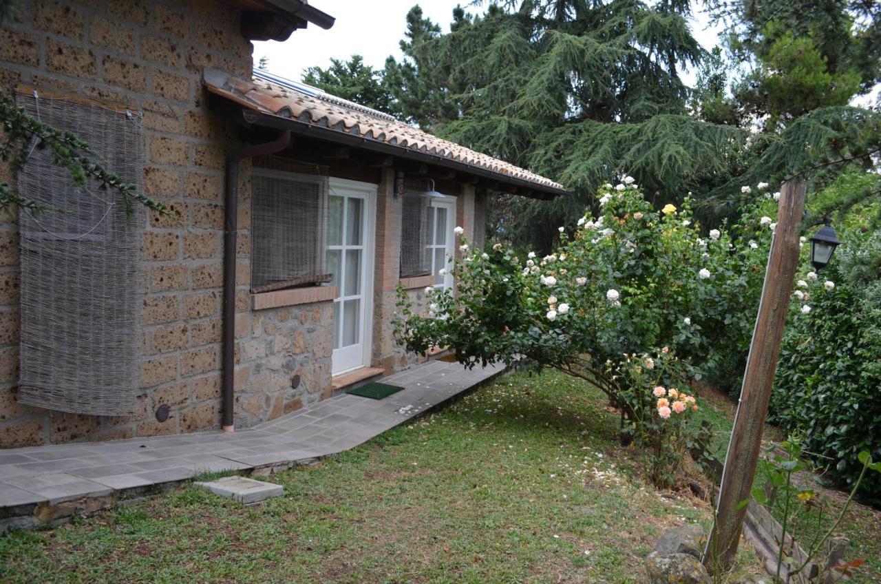 Podere Delle Rose Torre San Severo Exterior foto